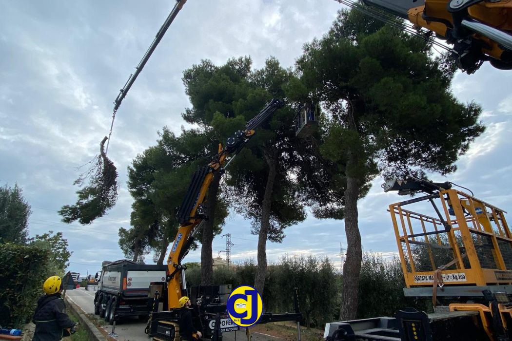 Manutenzione del Verde